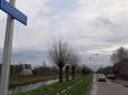 In deze straat is het afleveren van kerstkaarten een drama voor bezorgers: ‘Ik ben er niet gerust op’