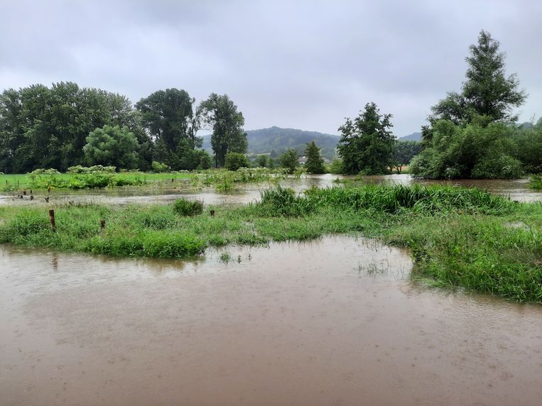 De overstroomde Geul bij Wijlre in juli 2021. Beeld ARK Natuurontwikkeling