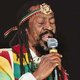 Cactusfestival: Novastar! Bunny Wailer!