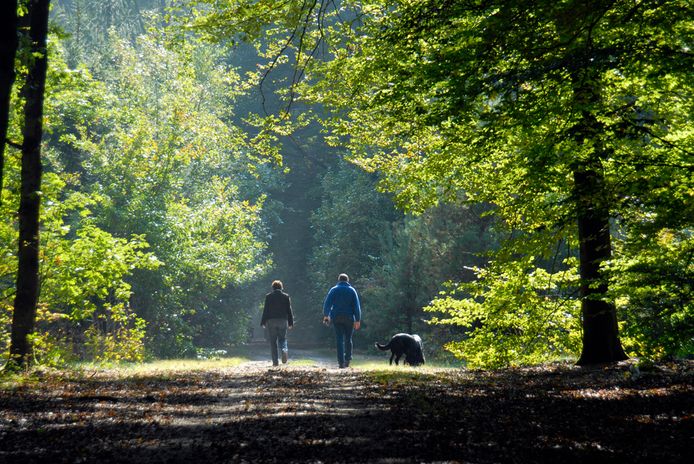 Nieuw wandelpad van 13 kilometer zondag officieel geopend | Antwerpen ...