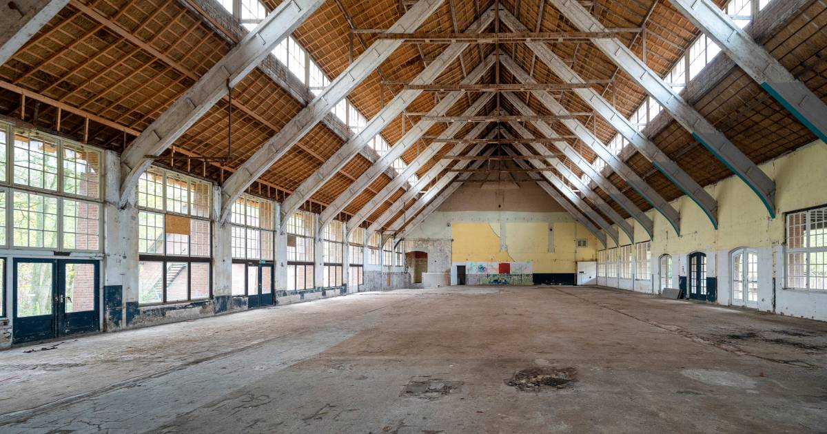 Oude SS-sporthal in Ellecom verkocht: nieuwe eigenaar BOEi op zoek naar nieuwe functie
