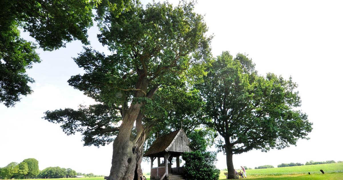 Pancratiusdag bij Kroezeboom in Fleringen in teken Samenloop voor Hoop | Tubbergen