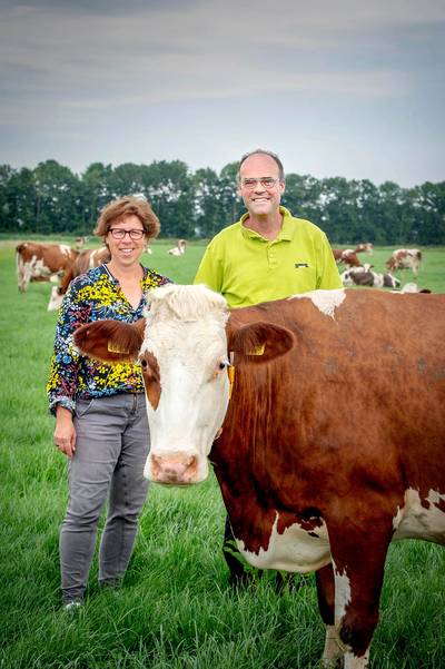 Met de hand in de koe tijdens de les biologie