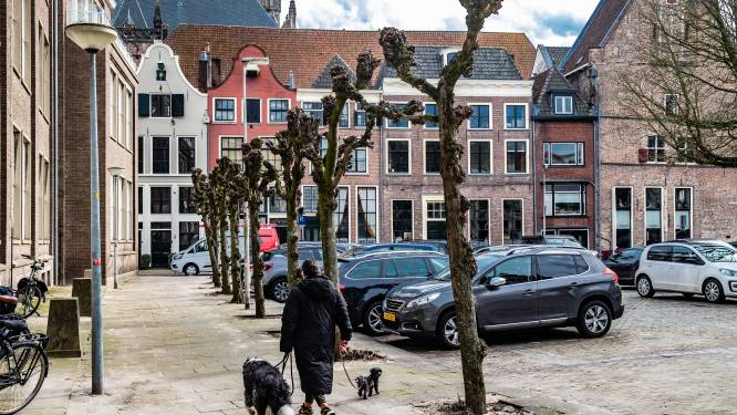 Wéér gedoe om bomenkap in centrum Deventer: ‘Alles gaan ze kappen’