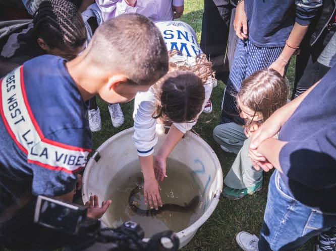 En dan mag je plots paling vangen: Gentse scholieren beleven topdagje aan Watersportbaan