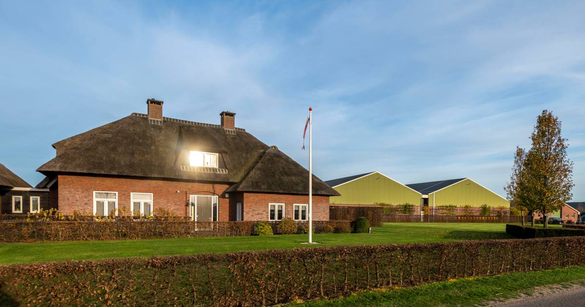 ‘Eigen mest’ droogt op voor mestfabriek tussen Moergestel en de Biest