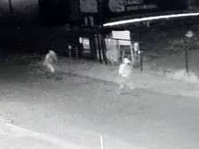 Inbrekers slaan ’s nachts toe bij vier bedrijven in Elburg