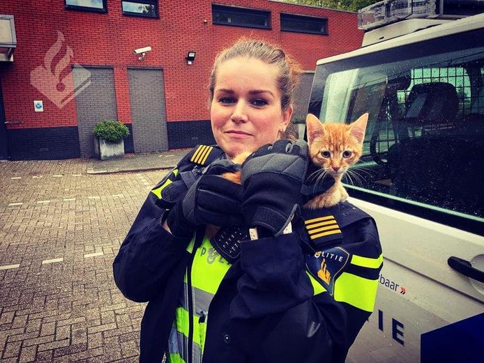 Het katje is door de politie bevrijd.