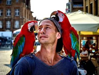 IN BEELD. Mathias laat zijn papegaaien Charlie en Riki regelmatig uit: “We zijn uitgegroeid tot een toeristische attractie”