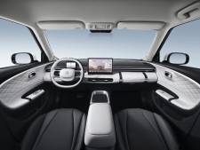 Schattige en ruime elektrische nieuwkomer overtuigt ondanks lage verkoopprijs