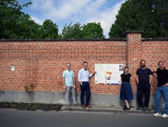 Langste geveltuin van Vlaanderen’ in Leuvense Tivolistraat: “Kleine ingrepen leveren een wezenlijke bijdrage aan een meer klimaatrobuuste stad”