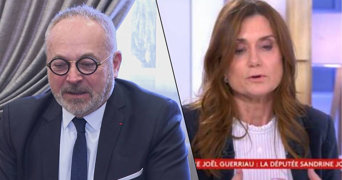 “Aveva difficoltà a parlare”: un deputato racconta come ha sostenuto Sandrine Gosso dopo la serata a casa di Joel Guerreau |  mondo