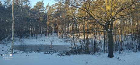 Zoon vindt zijn vermoorde vader in bed: ‘Het voelt niet echt, omdat ik zelf niet onder de deken heb gekeken’