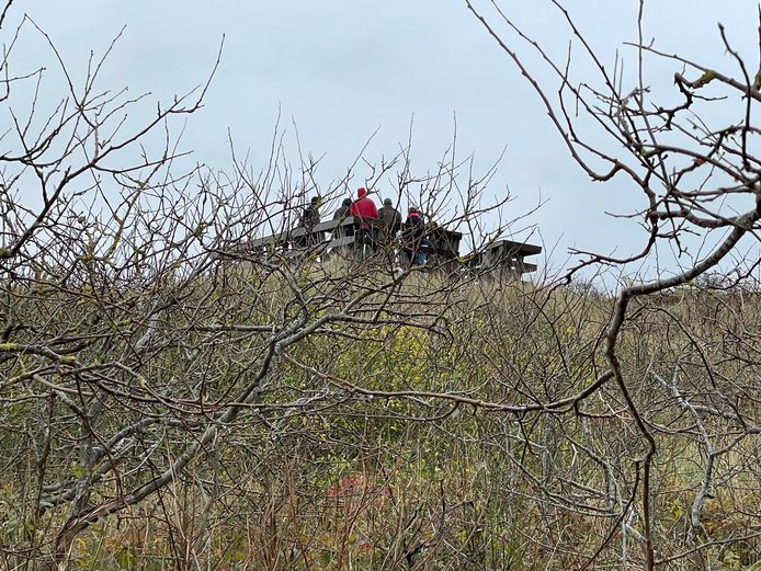 Het nieuwe uitkijkplatform in de duinen van Wenduine