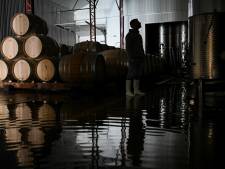 Grêles dévastatrices en France: les viticulteurs de Chablis craignent d’importants dégâts sur les récoltes
