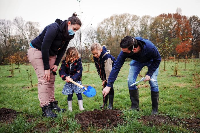 Een gezin plant een boom