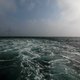 Meeuwen weten windmolens op zee goed te ontwijken