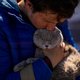 Dierenorganisaties vragen hulp bij opvang Oekraïense huisdieren