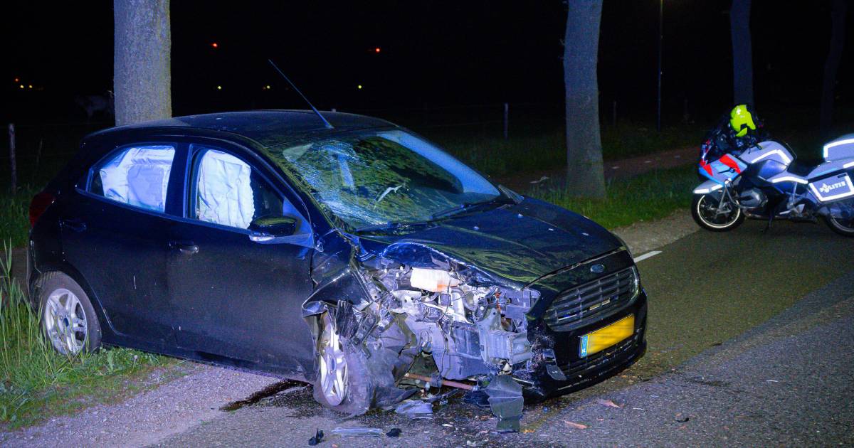 Man gewond na botsing tegen boom in Haghorst.