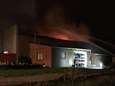 Brand vernielt hangaar in Vlamertinge