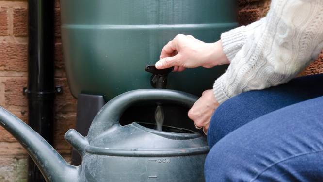 Regentonsubsidie om Schouwen-Duiveland klaar te maken voor de klimaatverandering