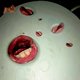 Death Grips - Year of the Snitch
