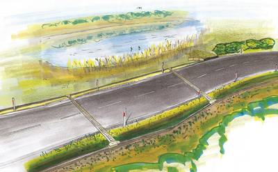 Aanleg amfibieëntunnels Heeze jaar vertraagd; toch nog een keer padden overzetten met emmertjes