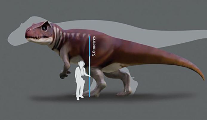 De gigantische dinosaurus van Queensland was een beetje kleiner dan de de T. rex, die op de tekening afgebeeld is in silhouette.