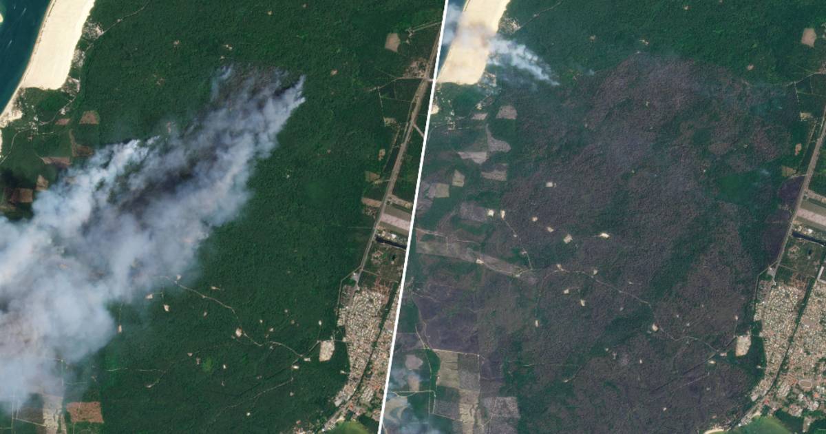 Le immagini satellitari mostrano le terribili conseguenze degli incendi in Europa e nei dintorni |  All’estero