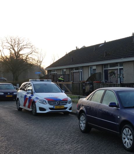 Hardenberg gaat grijze containers maar eens in de acht ...