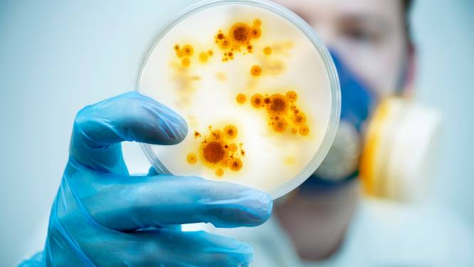RIVM grijpt in: alle ziektes door ‘vleesetende’ bacterie moeten vanaf nu meteen gemeld worden
