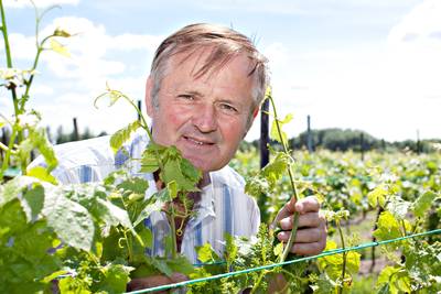 Wijnpionier Marius van Stokkom (1946-2024) legde de snoeischaar pas op het laatste moment neer