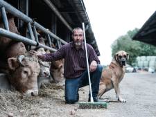 Aerdtse BBB-boer Jos Bolk verkozen in provincie én waterschap: ‘Maar ik ga nu geen van die zetels bekleden’