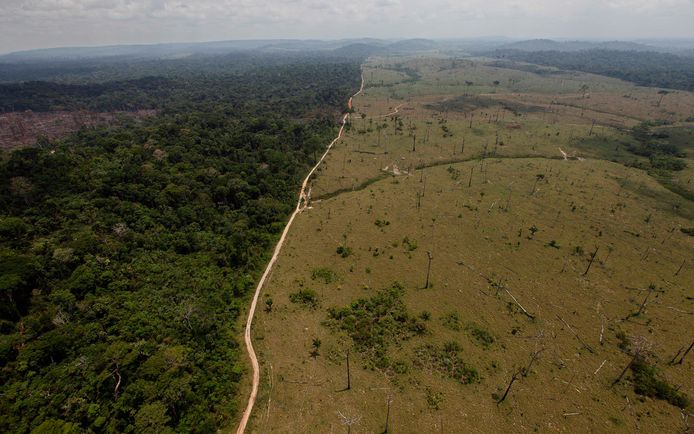 Gekapt regenwoud in de noordelijke Braziliaanse deelstaat Para. Foto uit 2009.