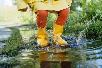 Autumn is calling: sometimes intense and thundery showers today, and only 14 degrees