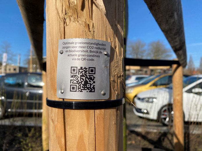 Bomenproject Barneveld afgerond 26 nieuwe bomen in het centrum