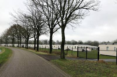 Buurt wil dat Peter Gillis snel bomen plant rondom zijn ‘barakkenkamp’ in Soerendonk