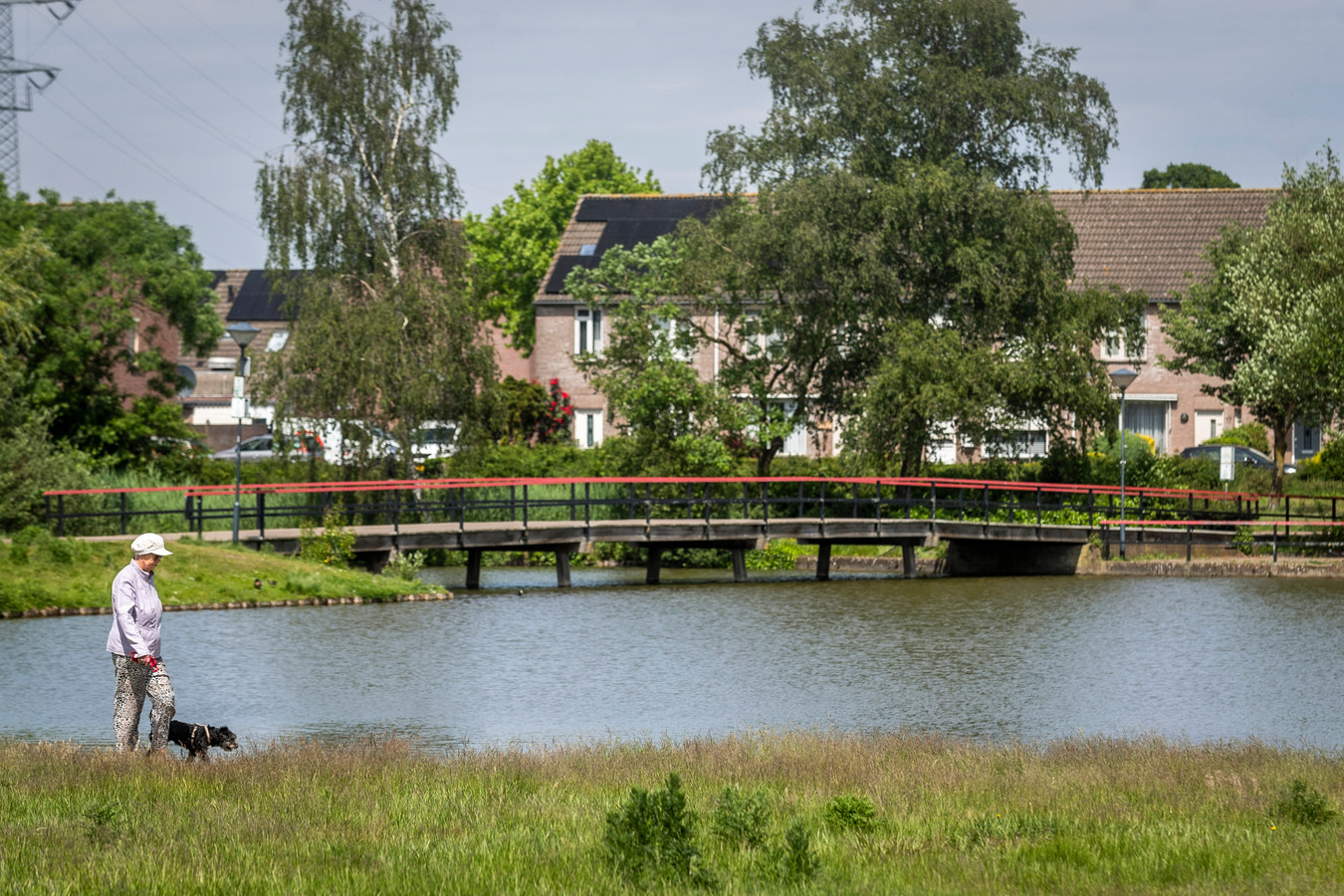 Het park in Helmond-Brouwhuis.