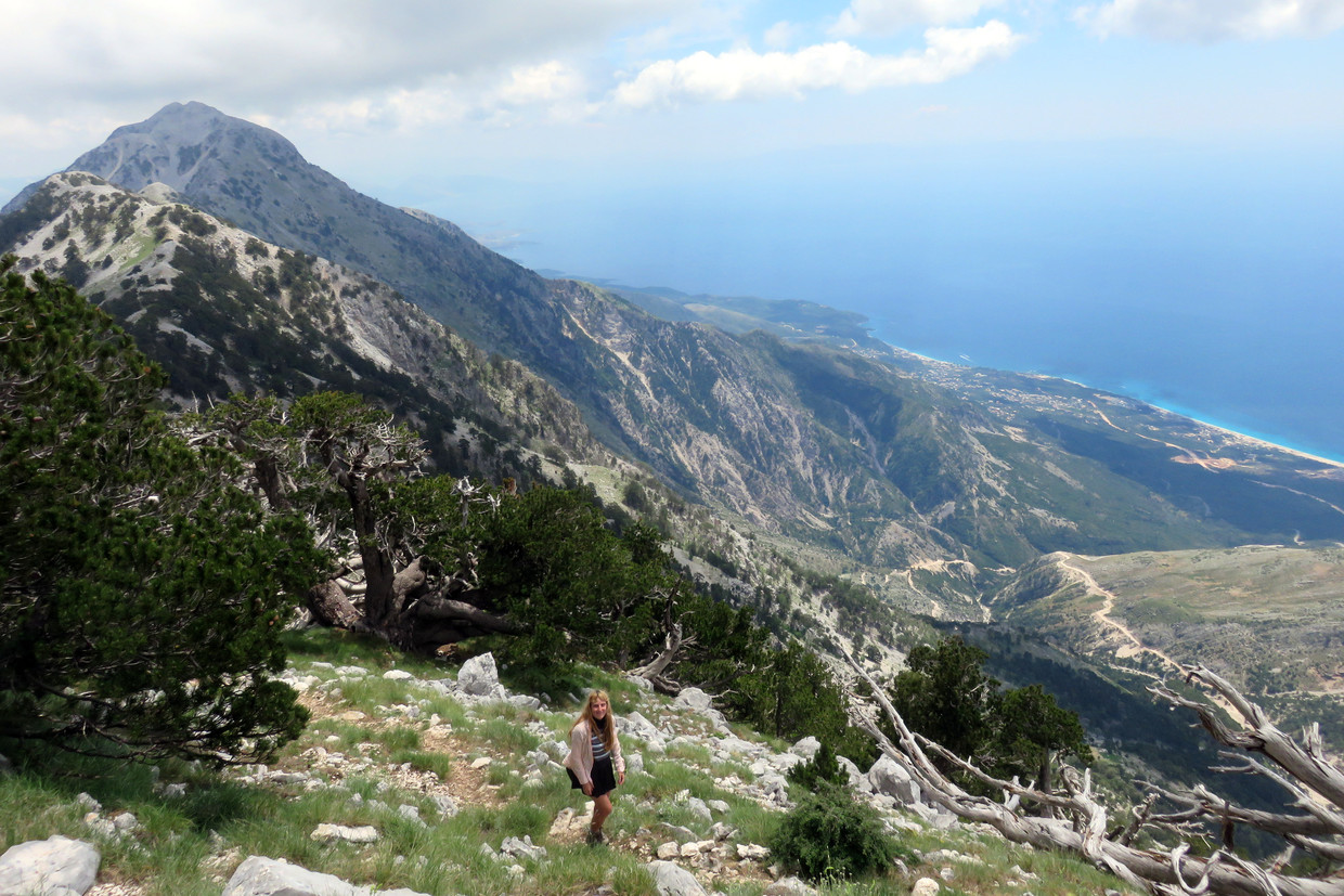 Vanaf het Keraunisch gebergte reiken de panorama’s tot Corfu. Beeld Tom Peeters