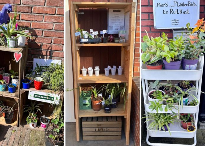 Ken jij de Stekjesroute al? Op deze plaatsen in ons land kan je planten ...