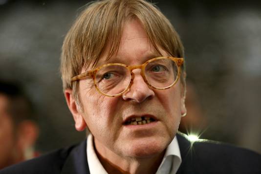 De Ruyver werkte jarenlang als veiligheidsadviseur bij Verhofstadt.