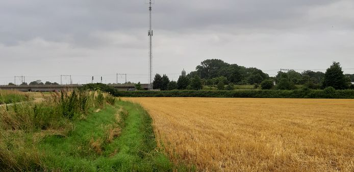 Een deel van het Stadsland, met op de achtergrond de spoorbrug en nog net zichtbaar de Lebuinus.