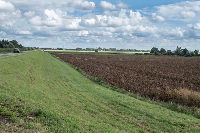 De weilanden die door De Wolff als 'zoekgebied' voor windmolens zijn aangewezen.