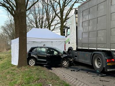 Vrachtwagenchauffeur André zag de auto met de Boekelse moeder frontaal op zich afkomen: ‘Ze stuurde 