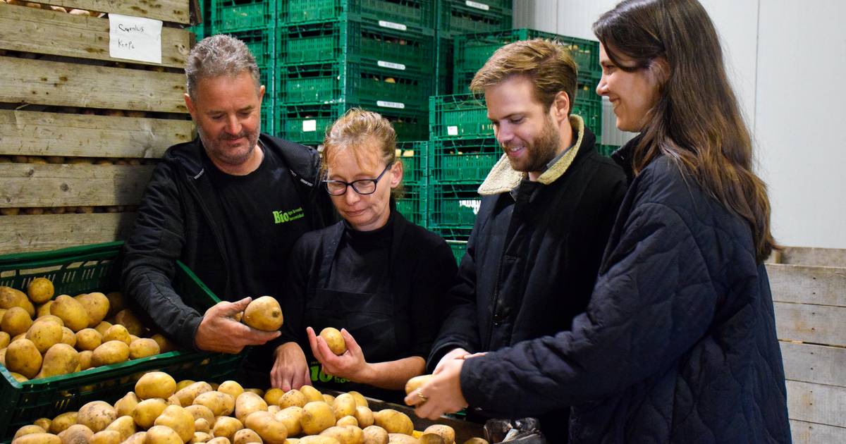 Un restaurant de hamburgers de Gand achète d’un coup 2 tonnes de pommes de terre à un agriculteur de Flandre occidentale : « En supprimant le catalyseur, nous pouvons lui donner un prix équitable » |  Gand