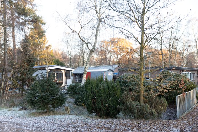Bijna alle chalets op Het Berkenven zijn verlaten, op - na het overlijden van Leon Leoideman - één na.