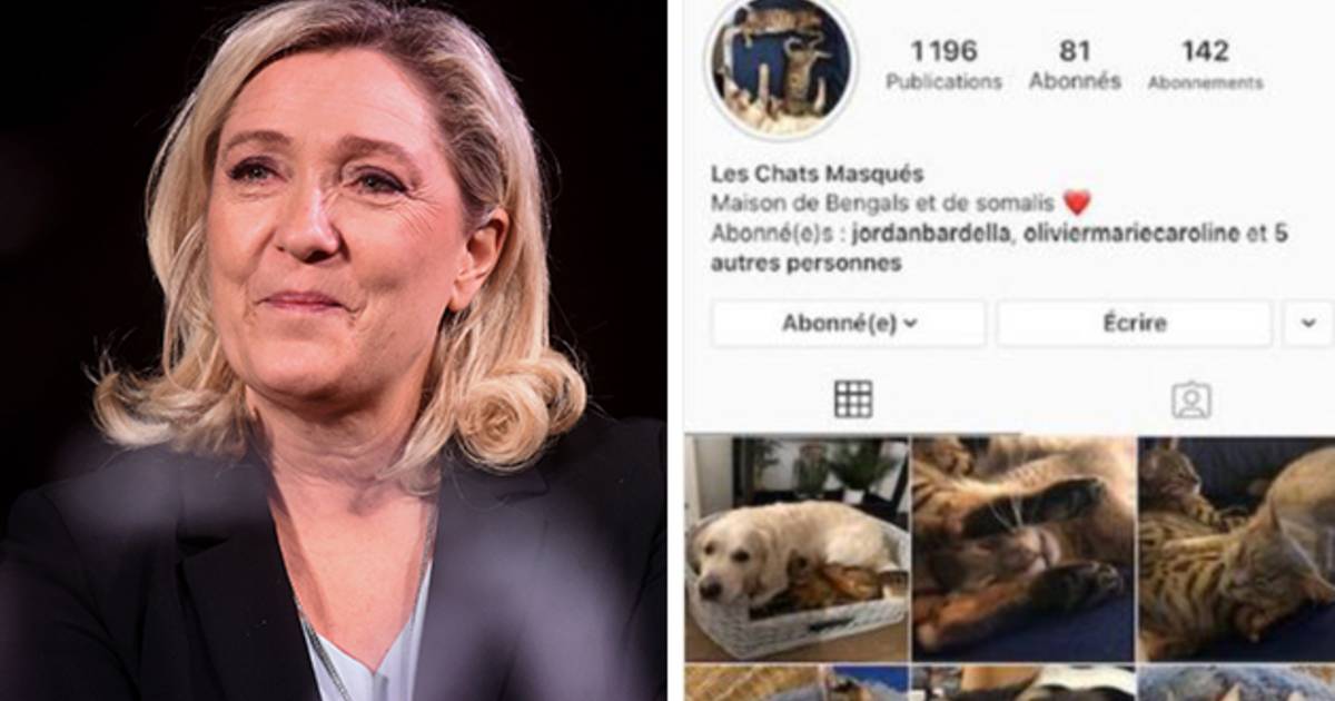 Les Chats Masques Le Compte Instagram Secret De Marine Le Pen Monde 7sur7 Be