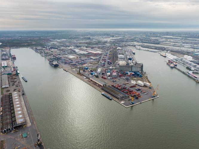 EU-Commissie ziet na brexit bijzondere rol weggelegd voor havens Antwerpen en Zeebrugge