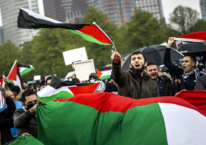 Pro-Palestina-demonstratie op het Haagse Malieveld