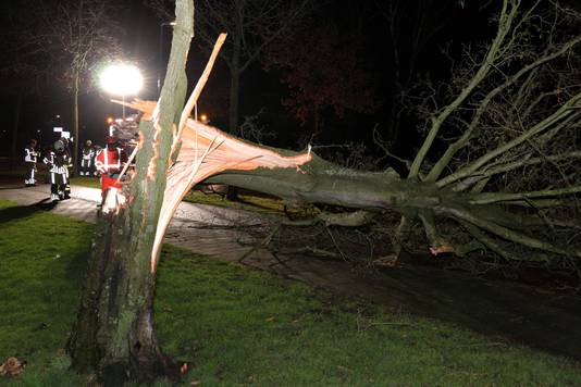 Een grote boom viel op de Akkerweg in Waalwijk door de harde wind van storm Dudley.